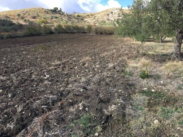 casa indipendente in vendita a Naro