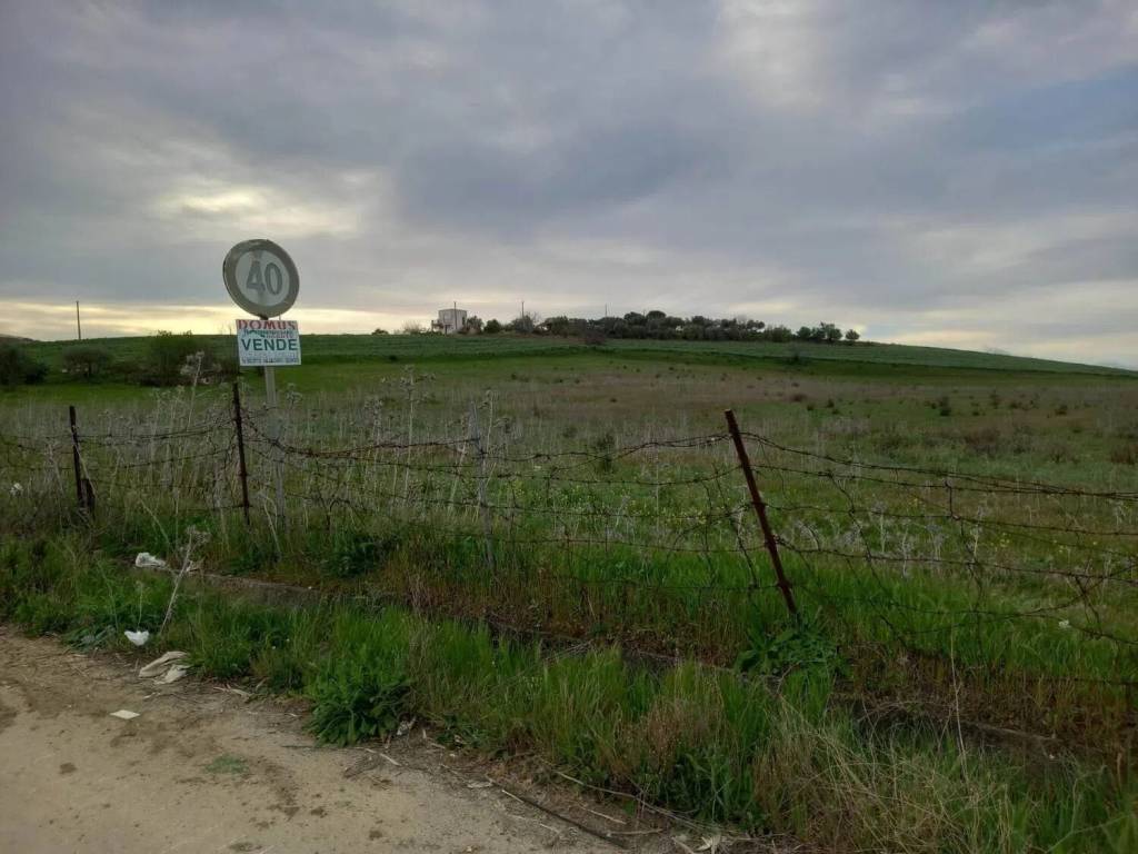 terreno agricolo in vendita a Naro