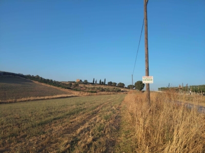 terreno agricolo in vendita a Naro
