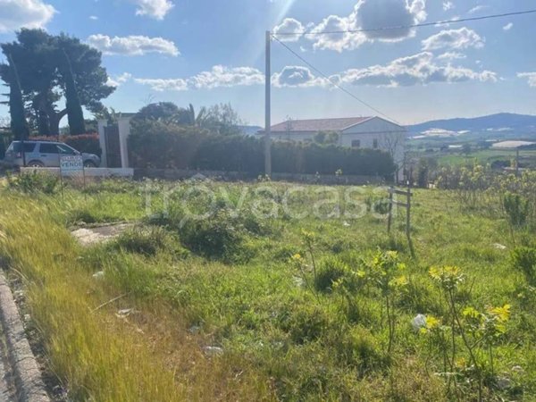 terreno agricolo in vendita a Naro