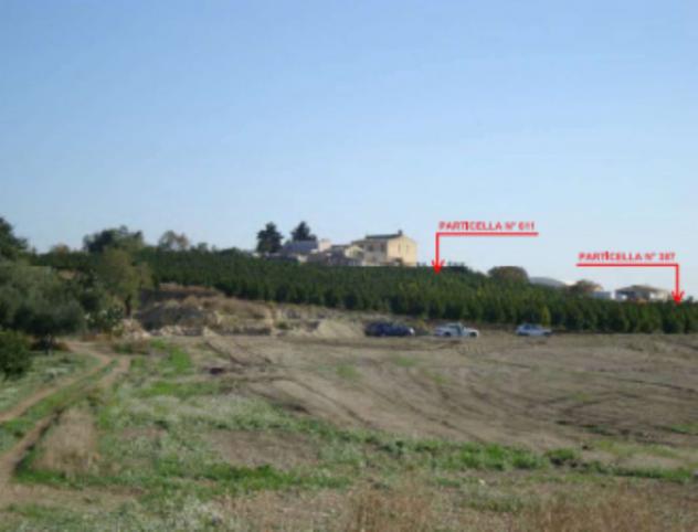 terreno agricolo in vendita a Naro