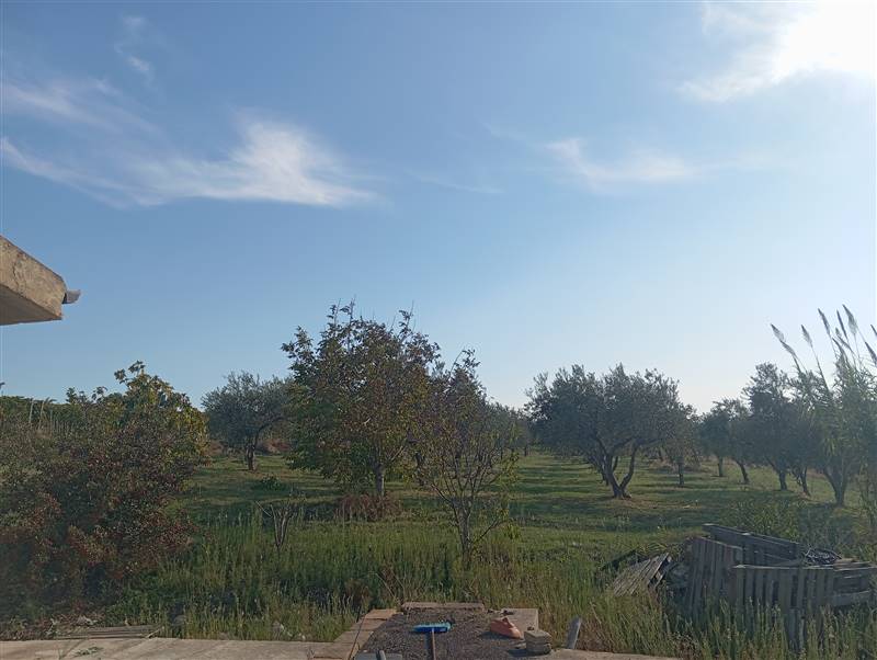 terreno agricolo in vendita a Naro