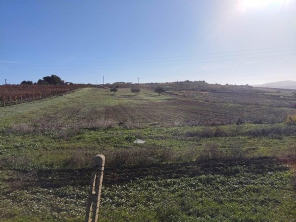 terreno agricolo in vendita a Naro