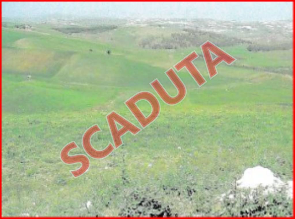 terreno agricolo in vendita a Naro
