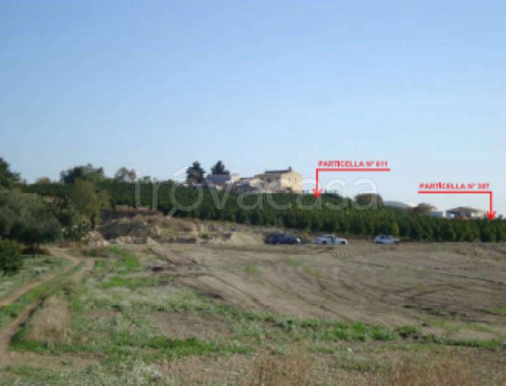 terreno agricolo in vendita a Naro