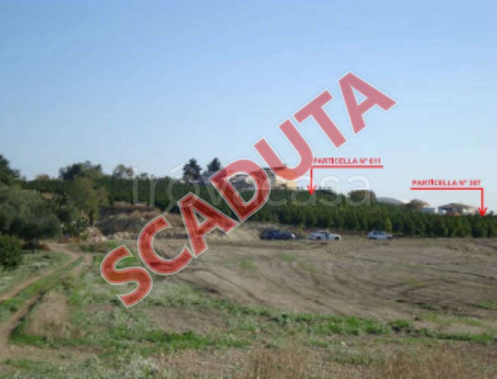 terreno agricolo in vendita a Naro