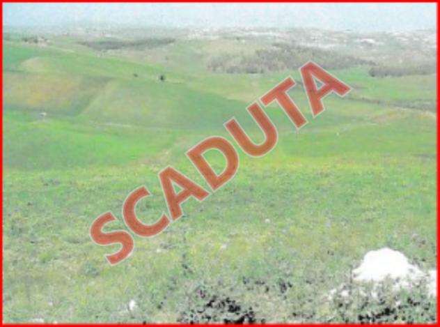 terreno agricolo in vendita a Naro