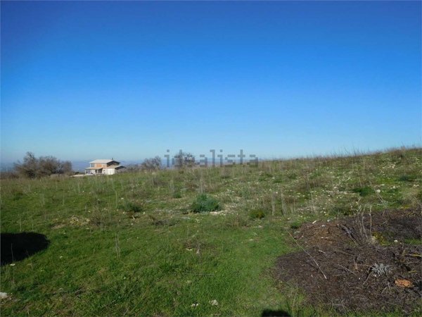terreno in vendita a Naro
