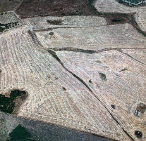 terreno agricolo in vendita a Naro