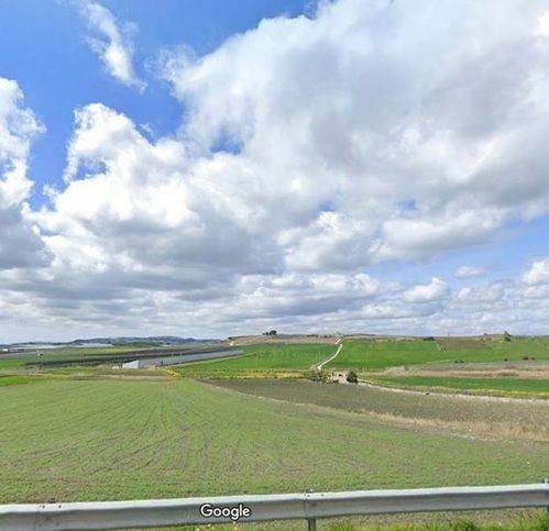 terreno agricolo in vendita a Naro