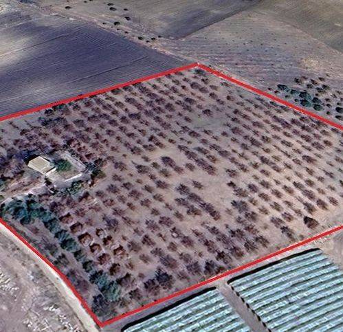 terreno agricolo in vendita a Naro