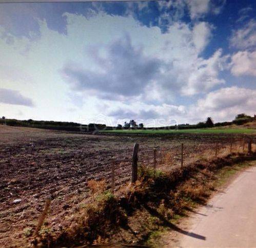 terreno agricolo in vendita a Naro