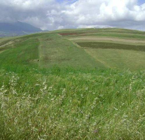 casa indipendente in vendita a Naro