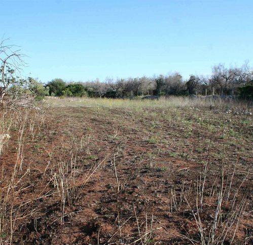 casa indipendente in vendita a Naro