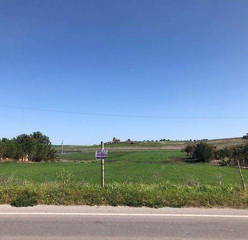 terreno agricolo in vendita a Naro