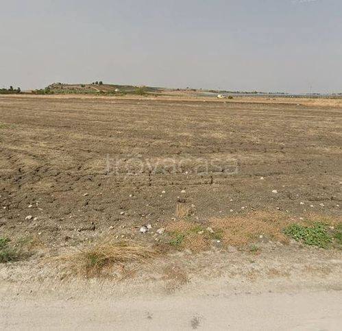 terreno agricolo in vendita a Naro