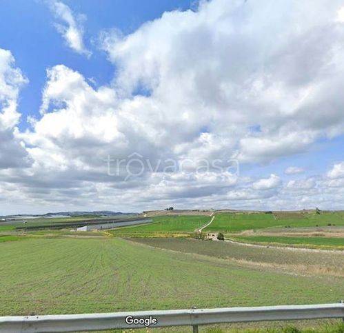terreno agricolo in vendita a Naro