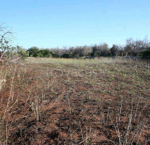 casa indipendente in vendita a Naro