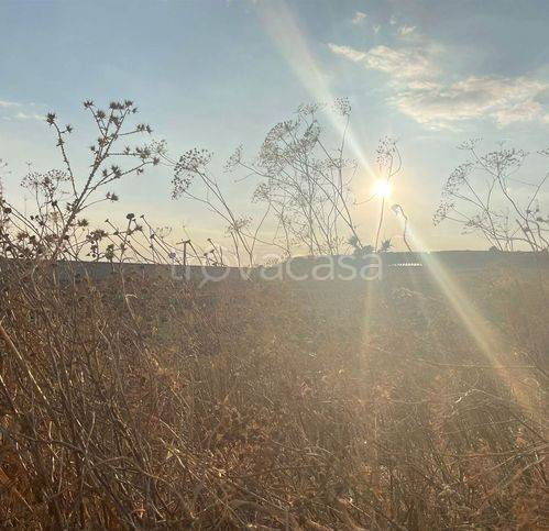 casa indipendente in vendita a Naro