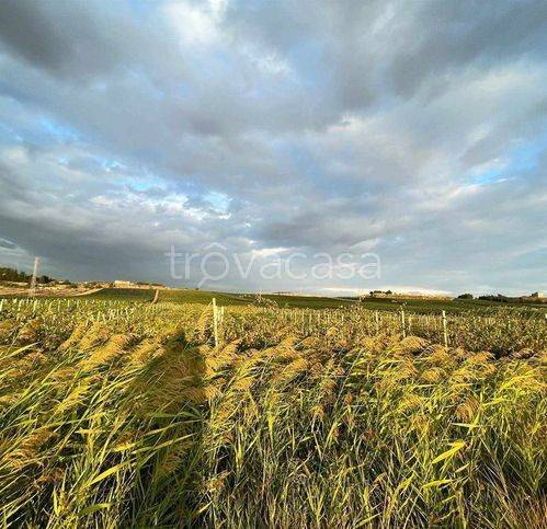 casa indipendente in vendita a Naro