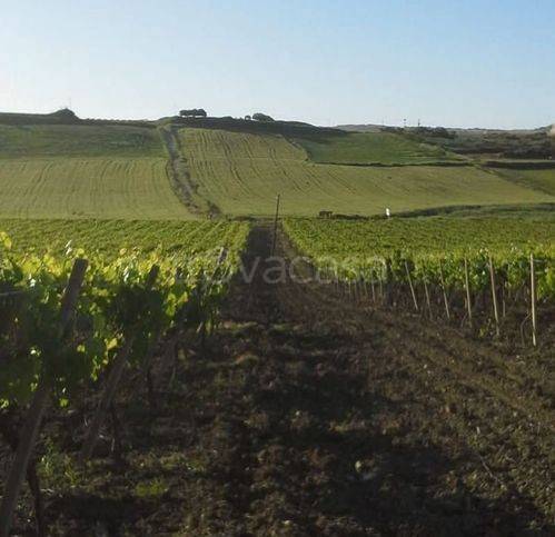 terreno agricolo in vendita a Naro