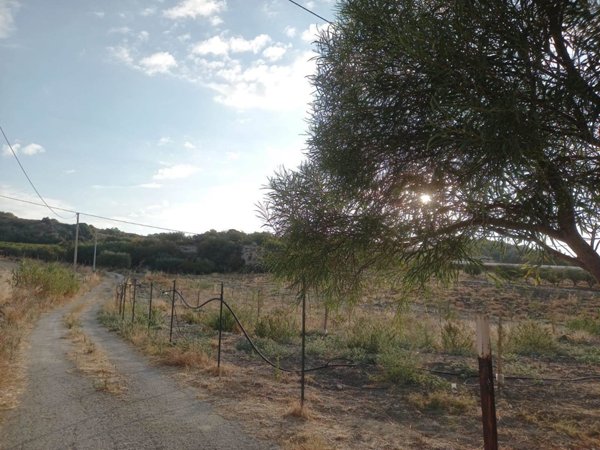 terreno agricolo in vendita a Naro
