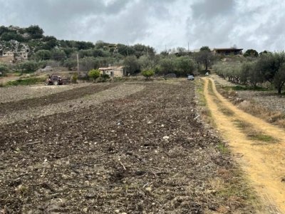 terreno agricolo in vendita a Naro