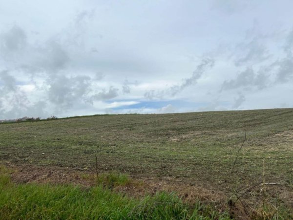 terreno agricolo in vendita a Naro