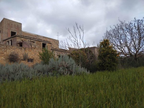 terreno agricolo in vendita a Naro