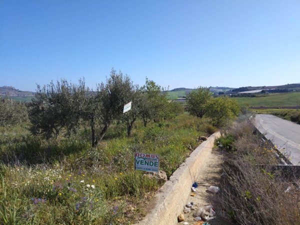 terreno agricolo in vendita a Naro