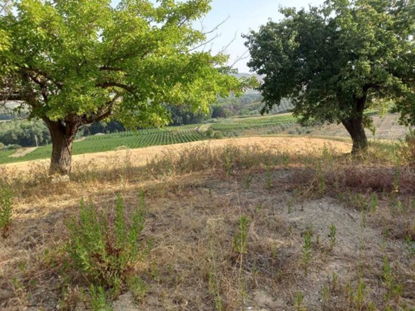terreno agricolo in vendita a Naro