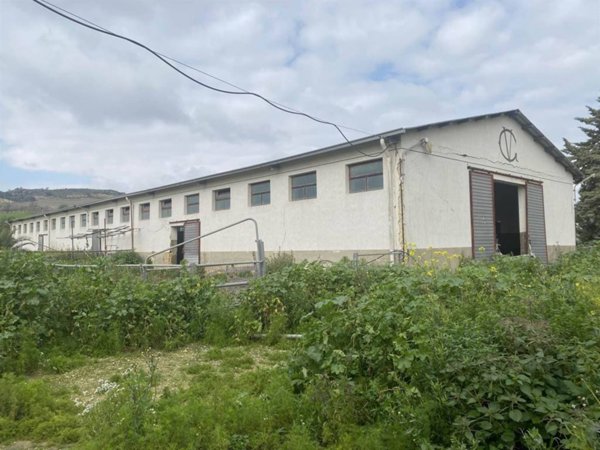 terreno agricolo in vendita a Naro