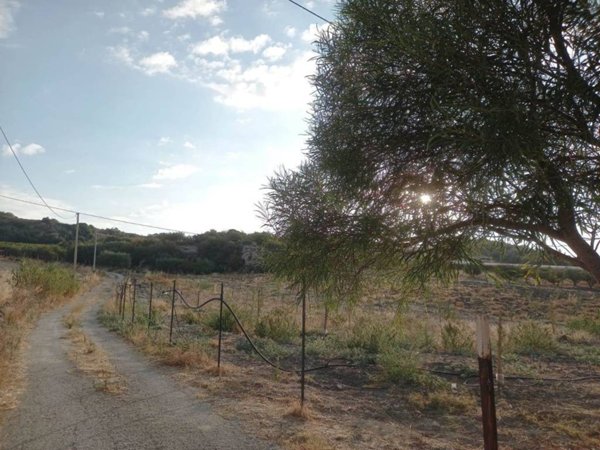 terreno agricolo in vendita a Naro