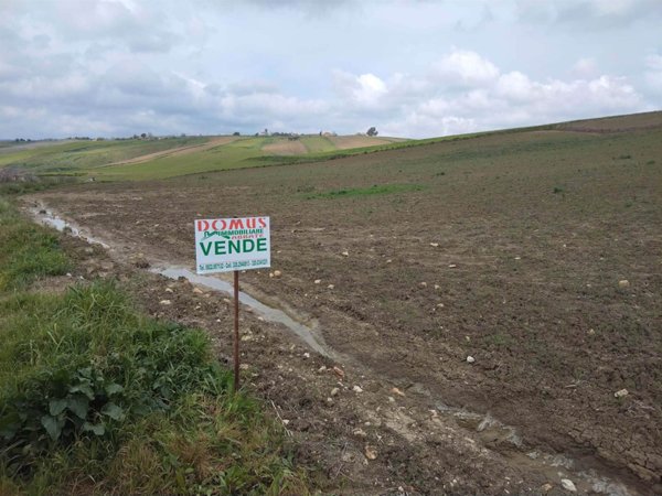 terreno agricolo in vendita a Naro
