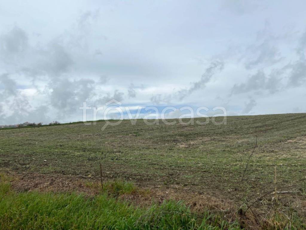 terreno agricolo in vendita a Naro