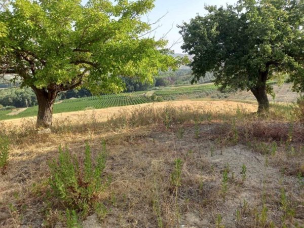 terreno agricolo in vendita a Naro