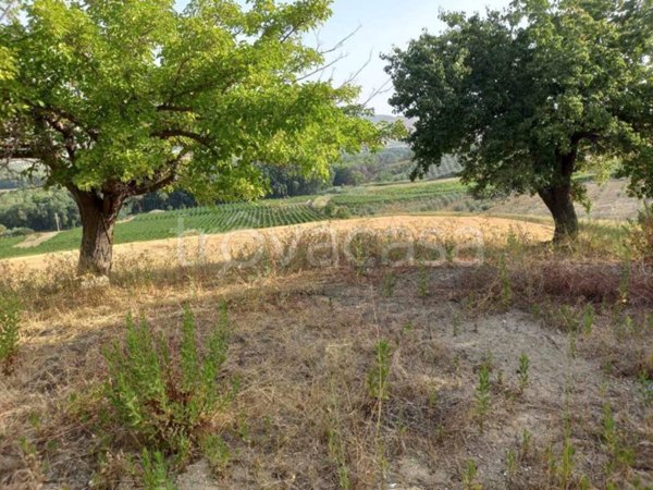 terreno agricolo in vendita a Naro