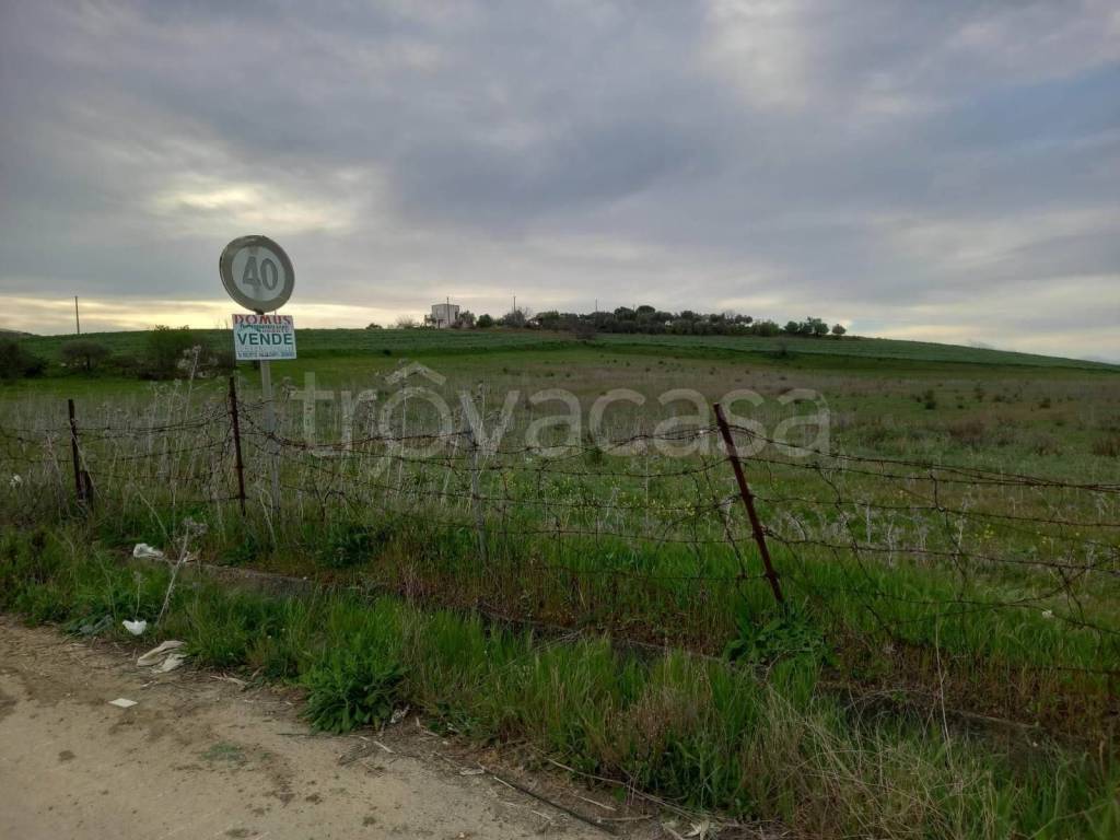 terreno agricolo in vendita a Naro