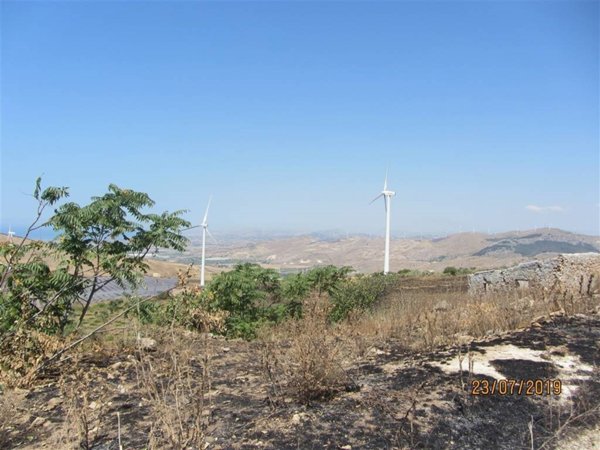 terreno agricolo in vendita a Naro