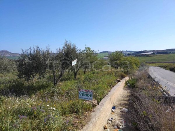 terreno agricolo in vendita a Naro