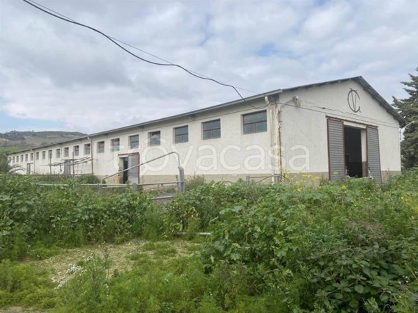 terreno agricolo in vendita a Naro