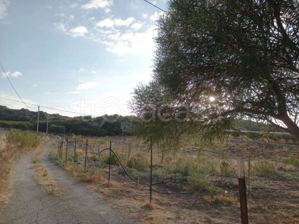 terreno agricolo in vendita a Naro