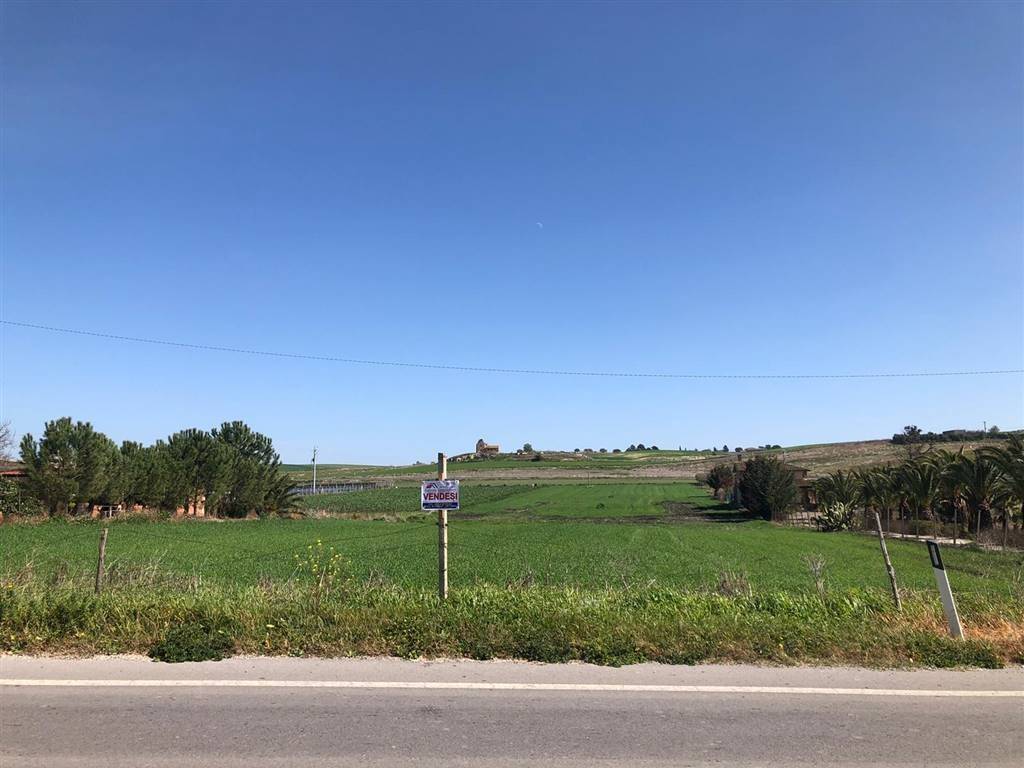 terreno agricolo in vendita a Naro