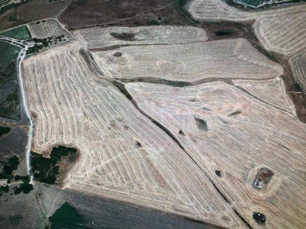 terreno agricolo in vendita a Naro
