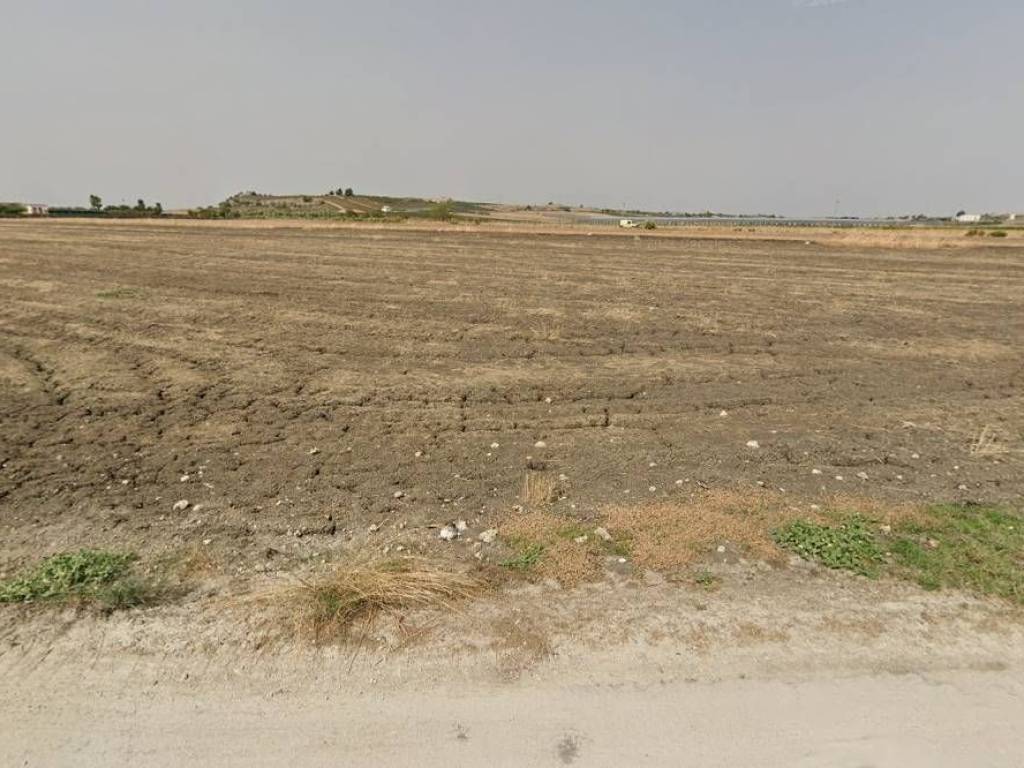 terreno agricolo in vendita a Naro