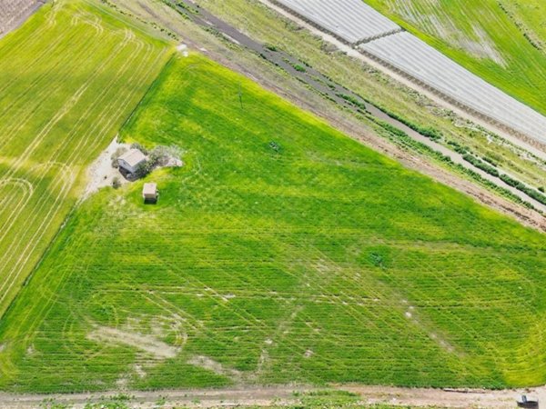 terreno agricolo in vendita a Naro