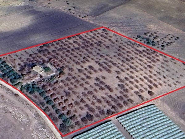 terreno agricolo in vendita a Naro