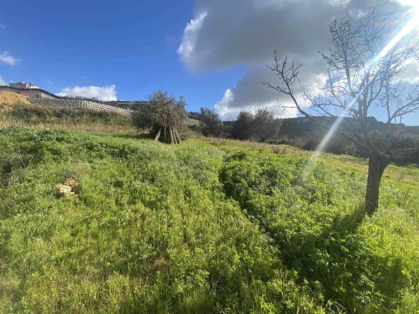 terreno agricolo in vendita a Naro