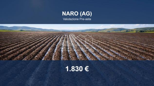terreno agricolo in vendita a Naro
