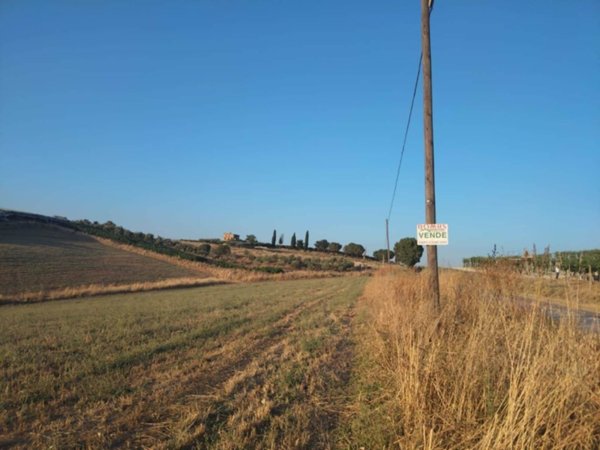 terreno in vendita a Naro